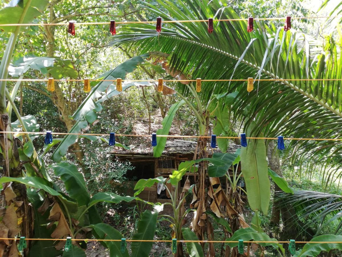 Sea Breeze Garden Hotel Tangalle Kültér fotó